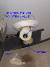 How do you replace the drain valve in a gas water heater?