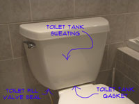 Problem Areas for a Leaking Toilet Tank