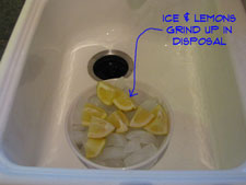 garbage-disposal-odor-pic3