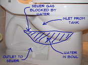 how-a-toilet-works-pic2