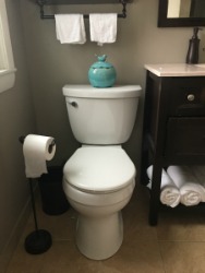 Do you have a leaking toilet? If so a toilet can leak in 4 main places. First you need to determine where the toilet is leaking, and then how hard it will be to fix.  